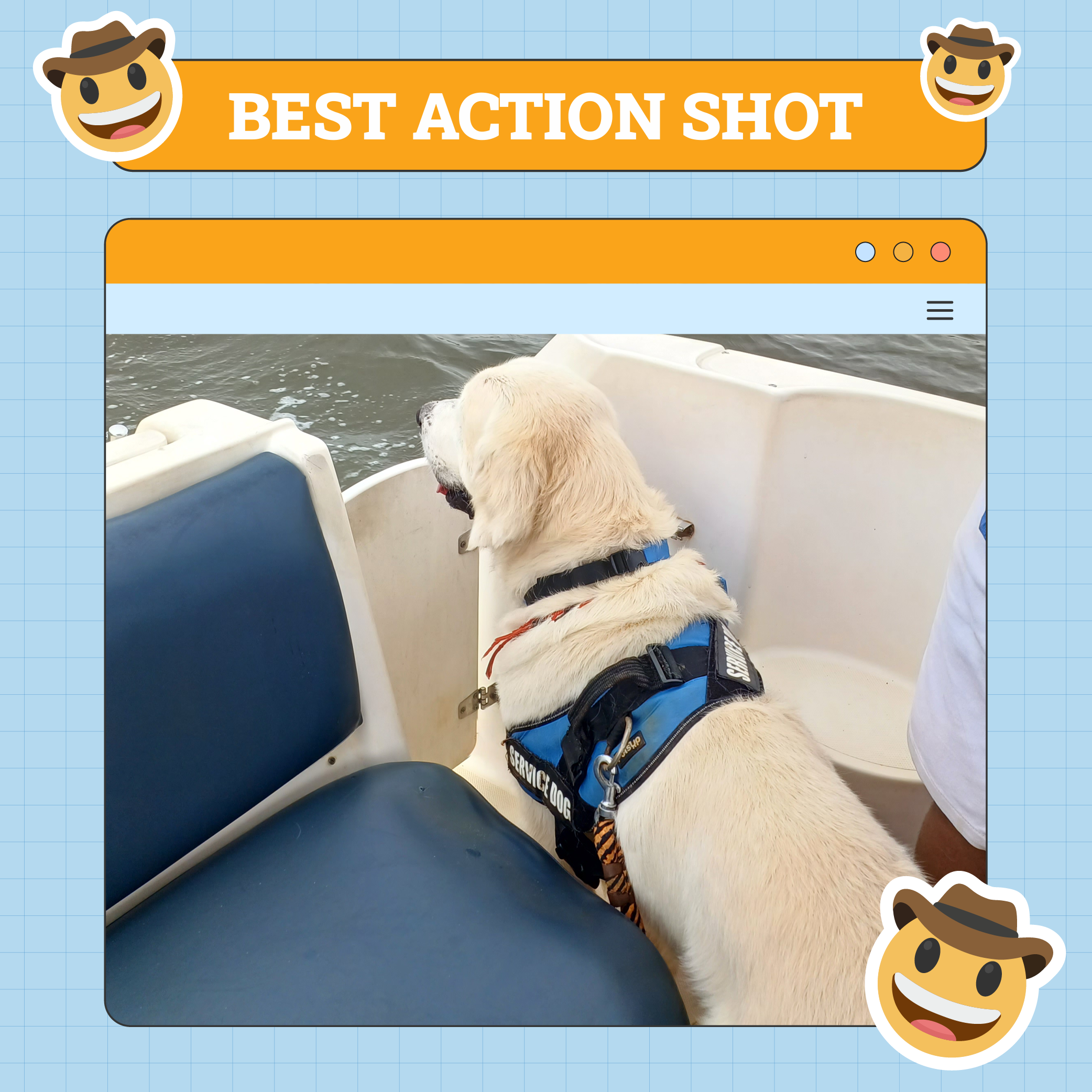 Best Action Shot Dog