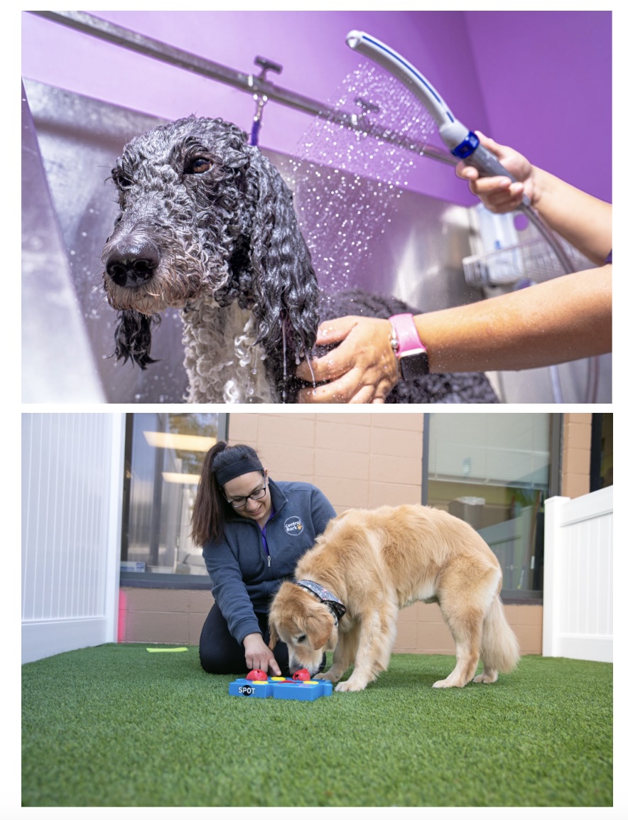 Central bark grooming and enrichment puzzles