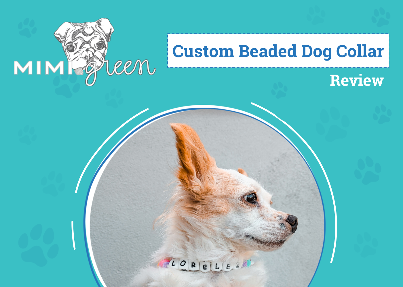 Mimi Green Custom Beaded Friendship Collar Review 2026: A Useful Token For Our Four-Legged BFFs