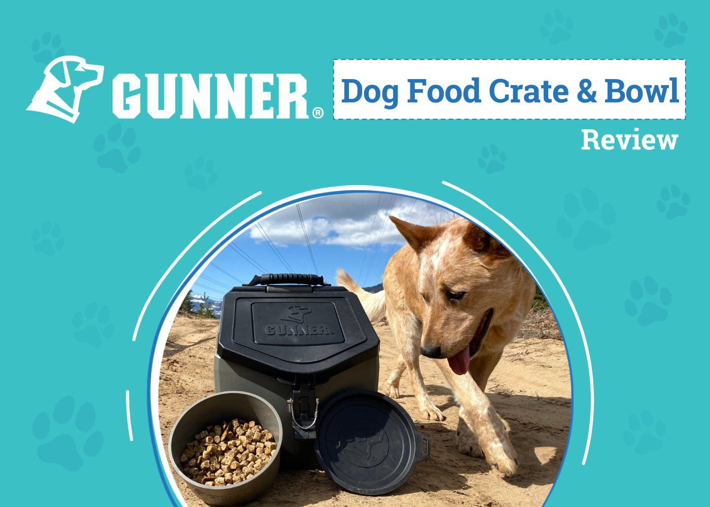 GUNNER Food Crate & Dog Bowl Review 2026: The Best Way to Road Trip with Your Pup