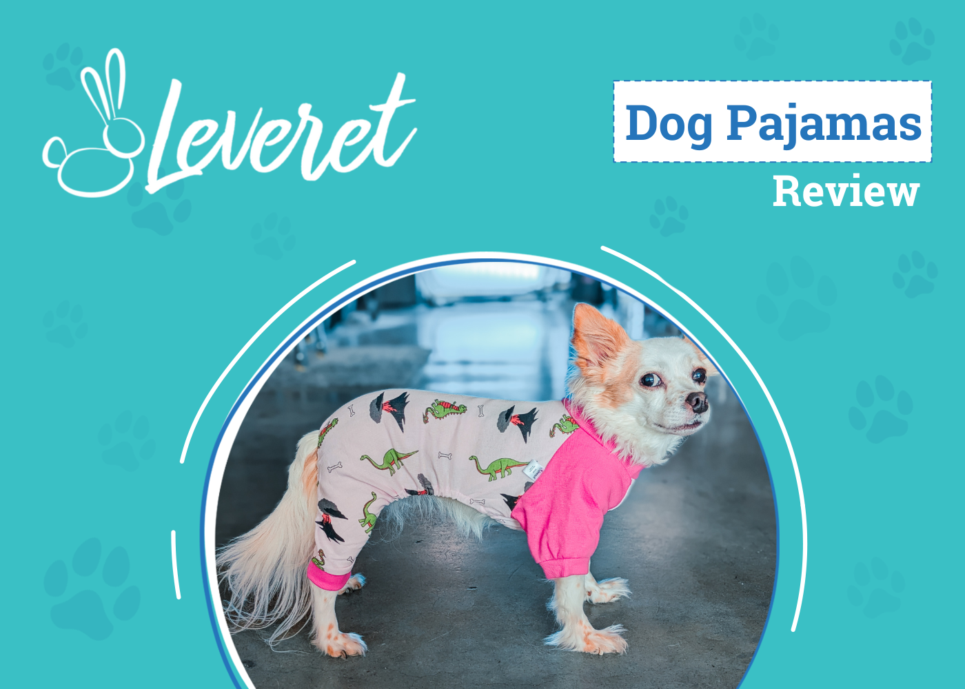 Leveret Dog Pink Dinosaur Pajamas Review 2026: A Prehistoric Bedtime Fashion Icon