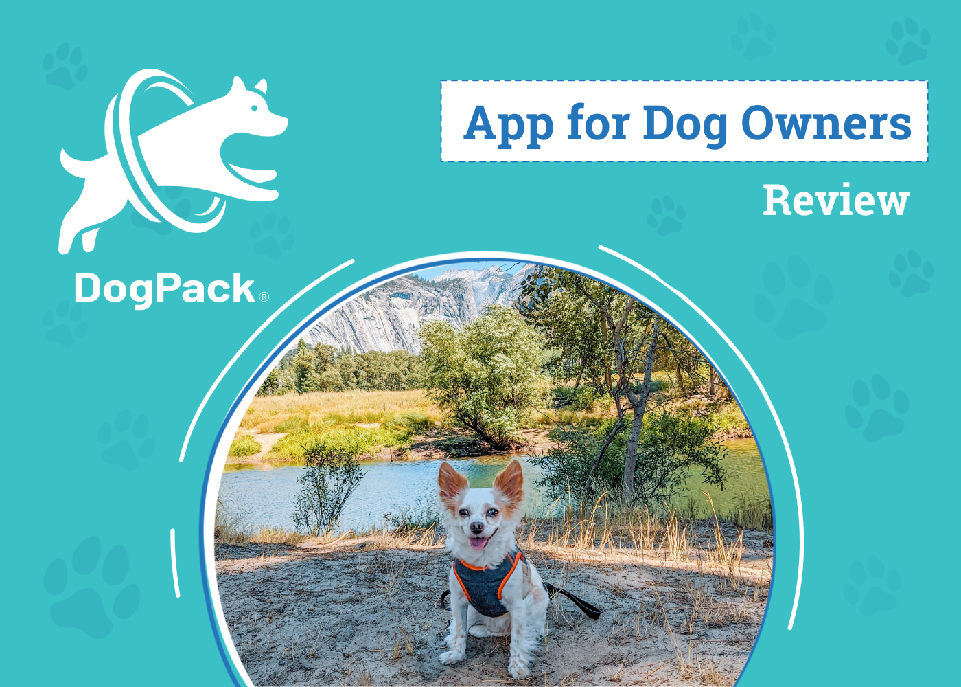 DogPack App Review 2026: The Ultimate Tool for Fido’s Adventures