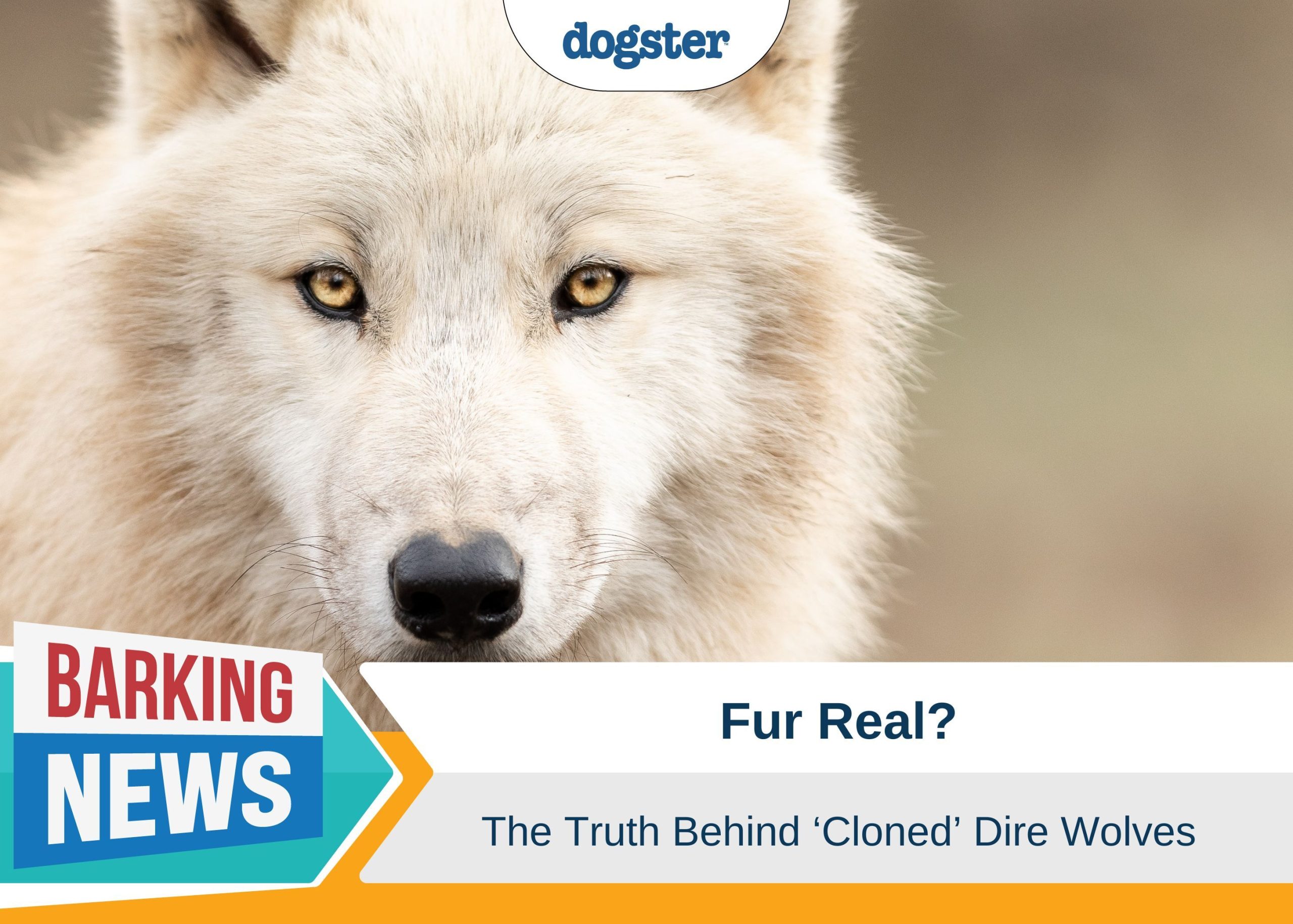 De-Extinction of the Dire Wolf - Brave New World or Colossal Mistake?