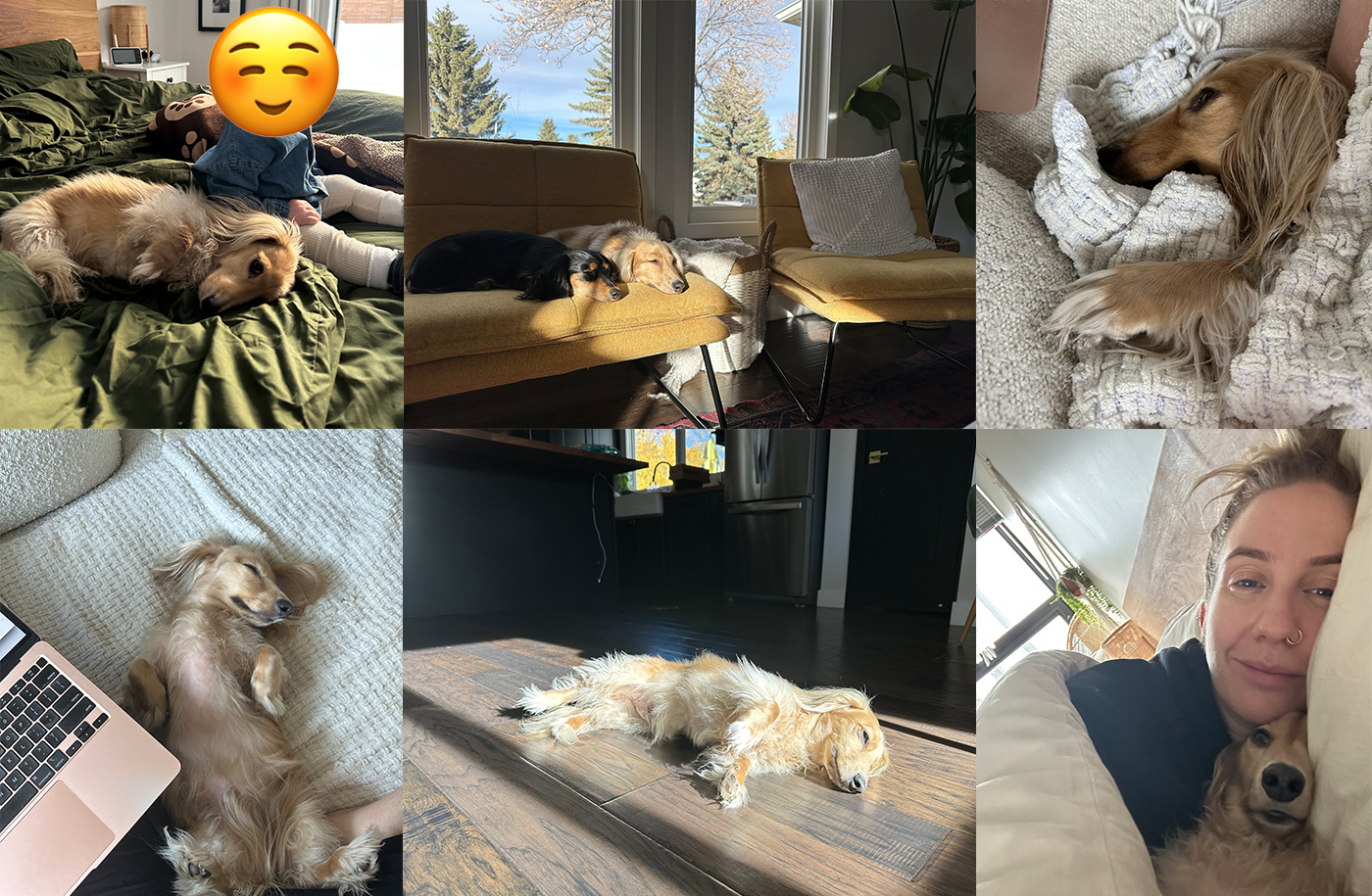 Draper sleepy