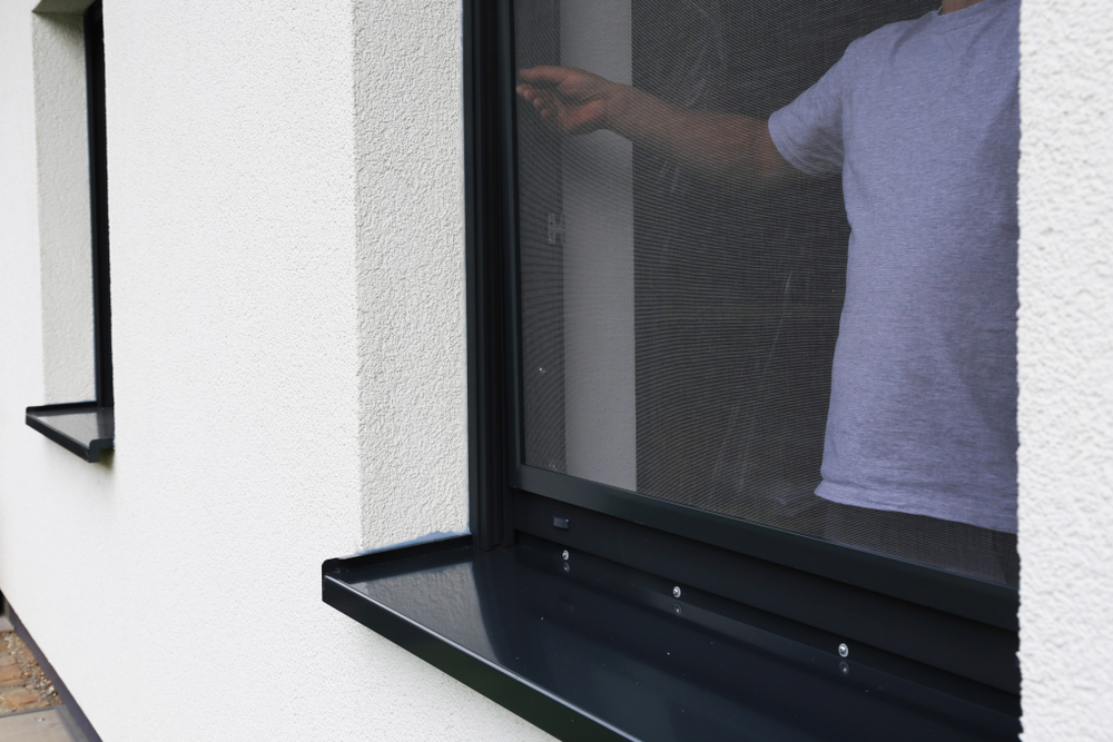 Fly Screen