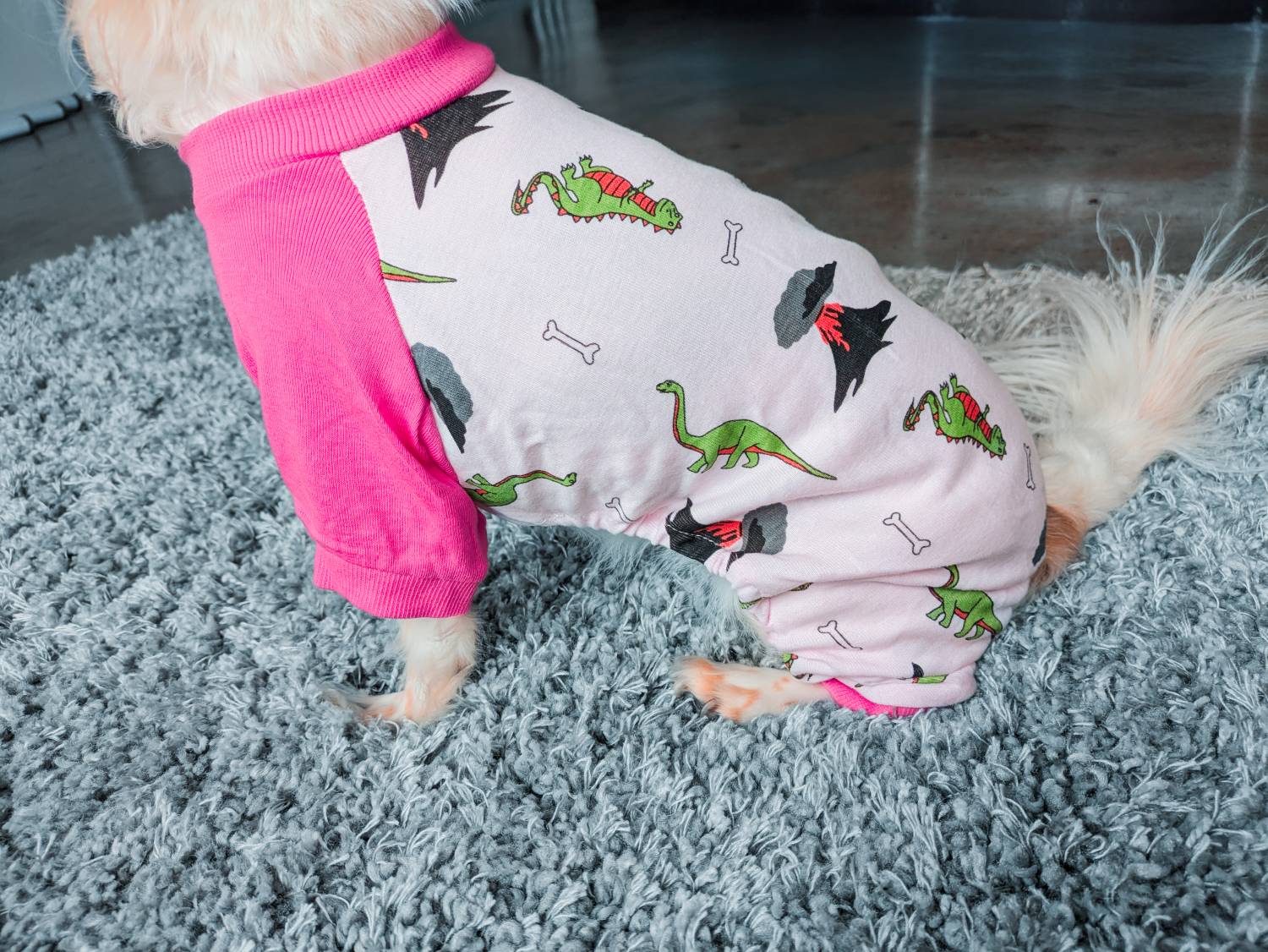 Leveret Dog Pink Dinosaur Pajamas Review - close up of pajama pattern