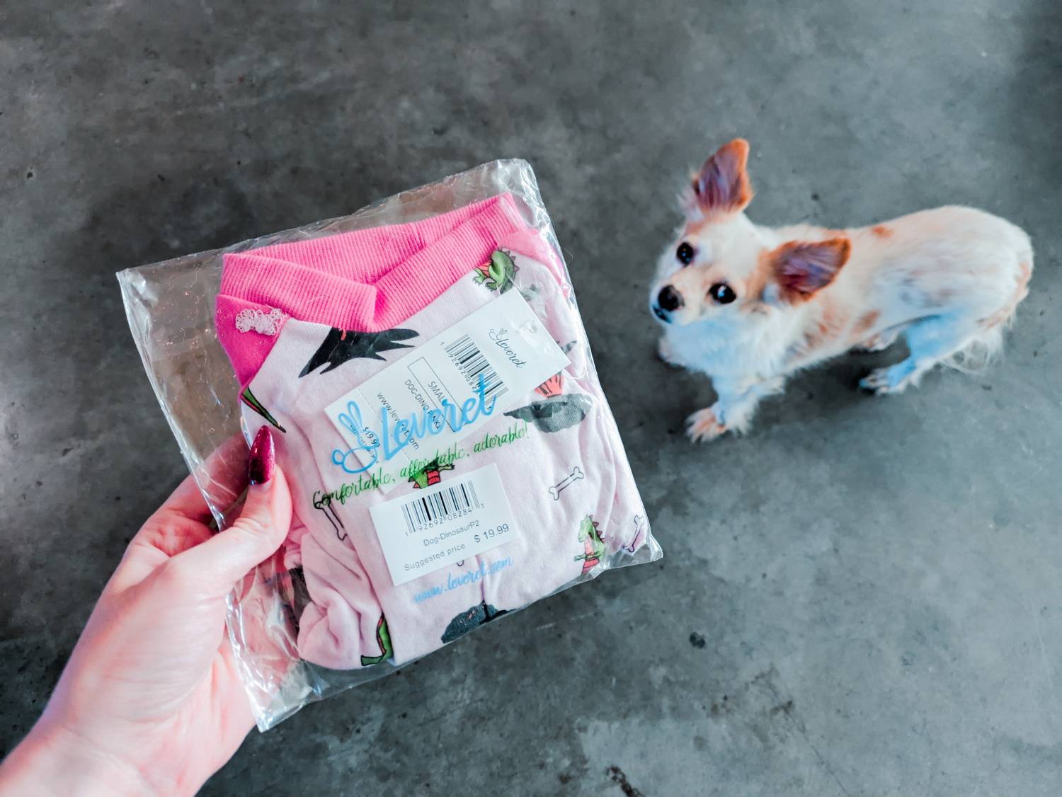 Leveret Dog Pink Dinosaur Pajamas Review - packaging