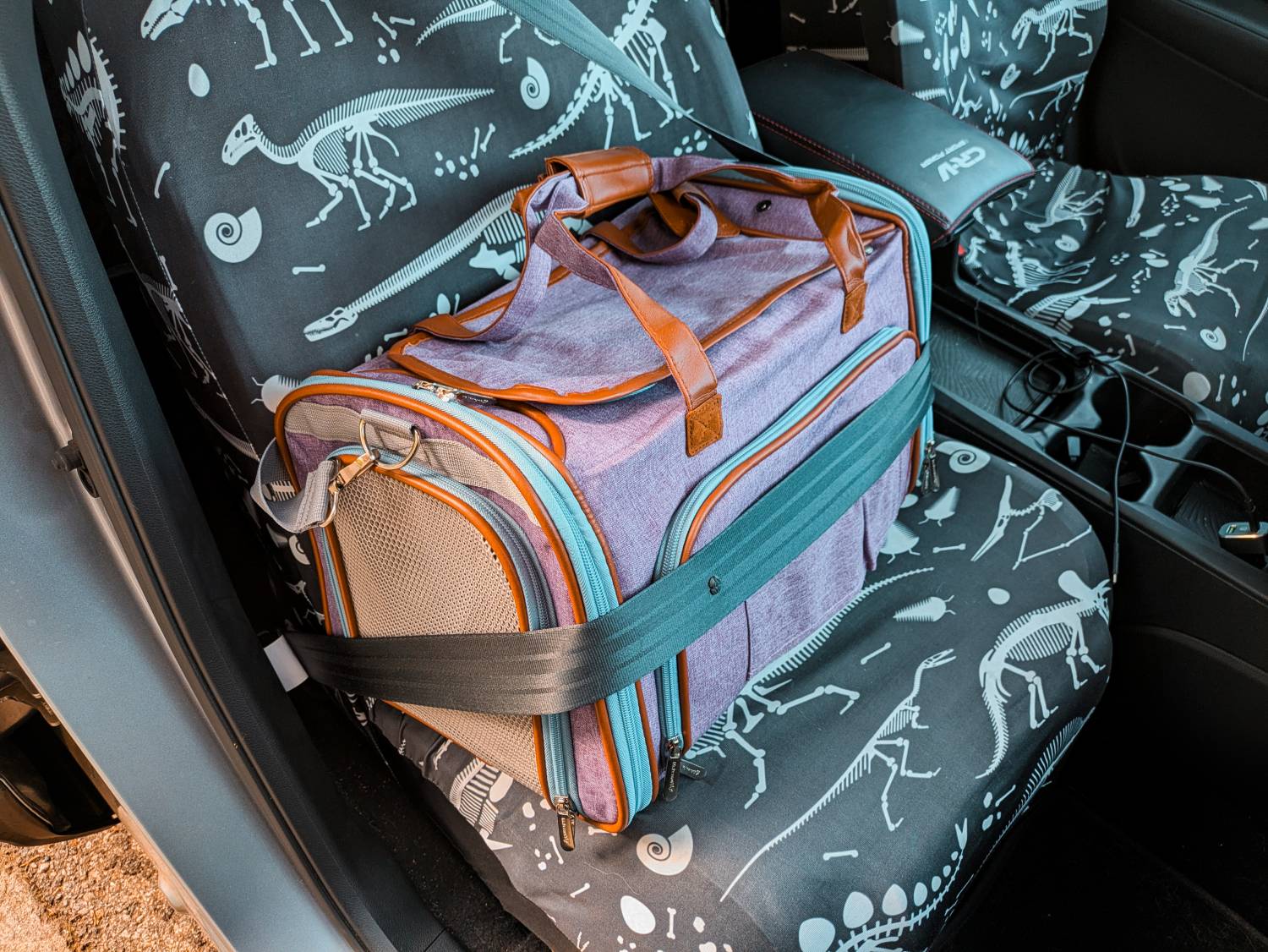 Mr. Peanut's Gold Series Expandable Pet Carrier Review - bag strapped in car