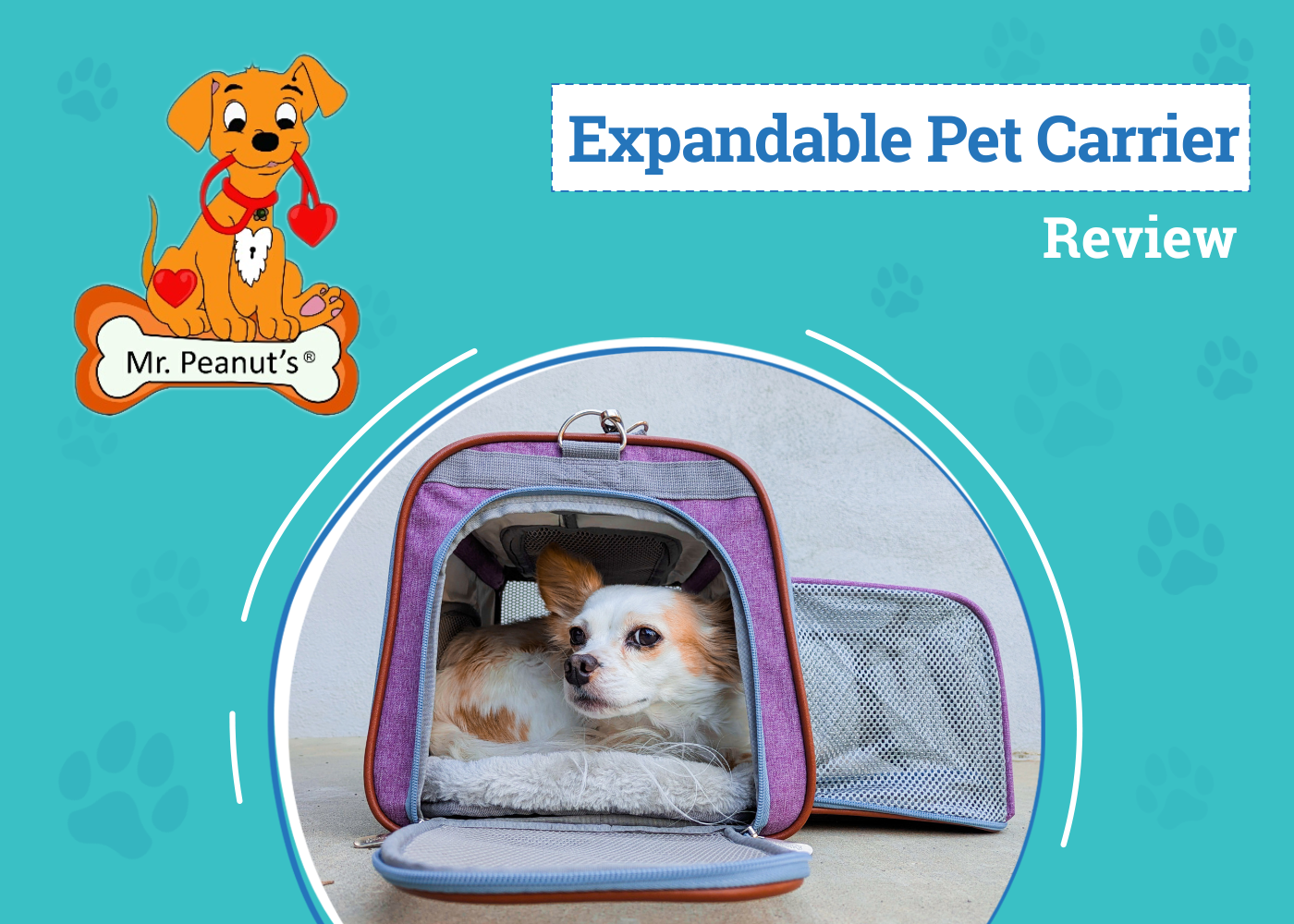 Mr. Peanut's Gold Series Expandable Pet Carrier Review 2026: A First-Class Ride for Four-Legged Travelers