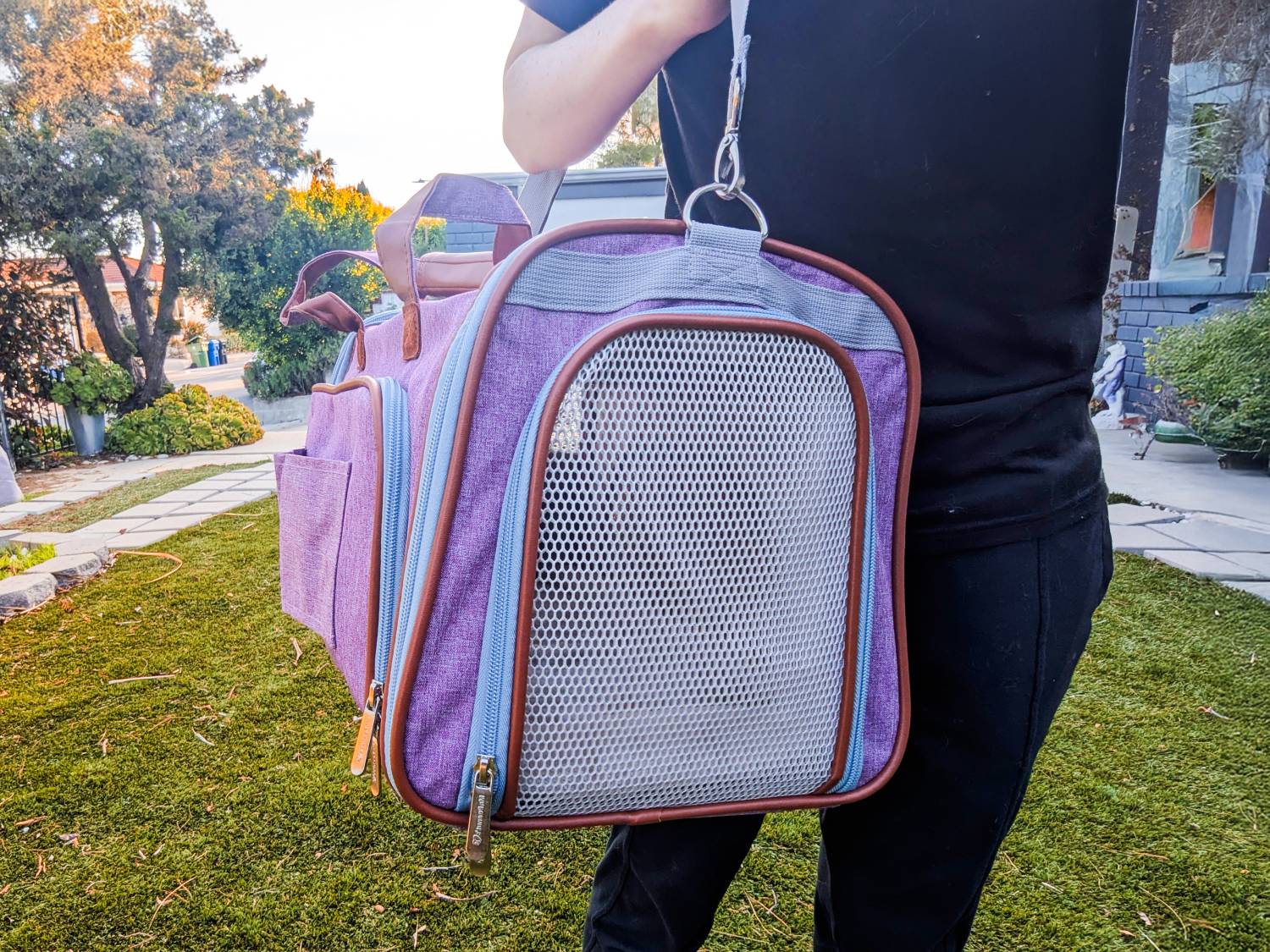 Mr. Peanut's Gold Series Expandable Pet Carrier Review - owner using carrier