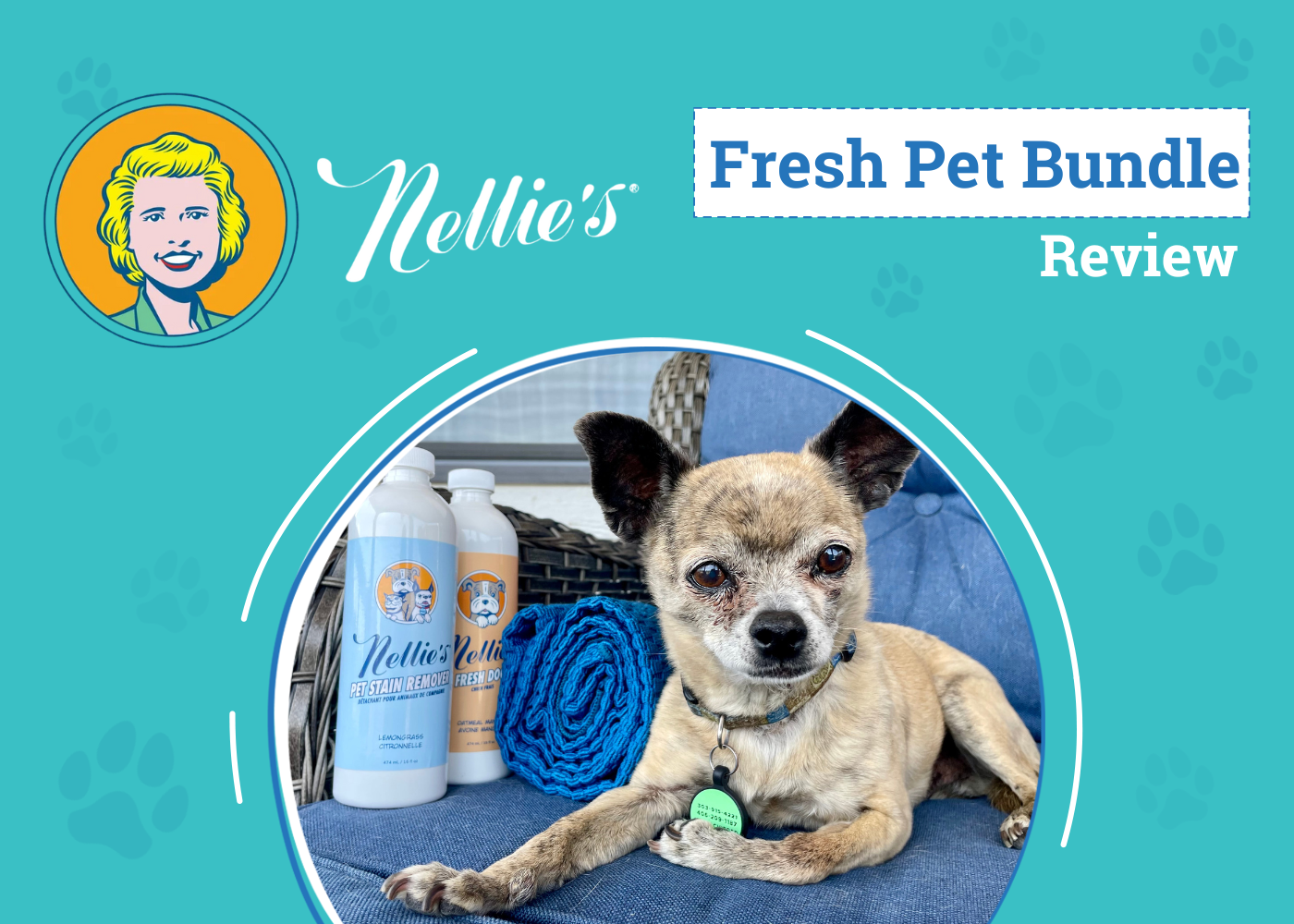 Nellie’s Fresh Pet Bundle Review 2026: For Freshened Up Pets and a Fresh Home