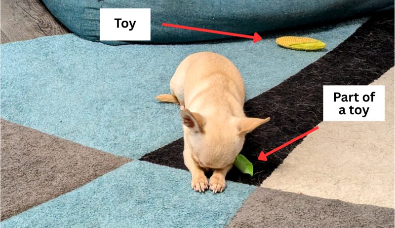 Playing with part of a toy is tiring work