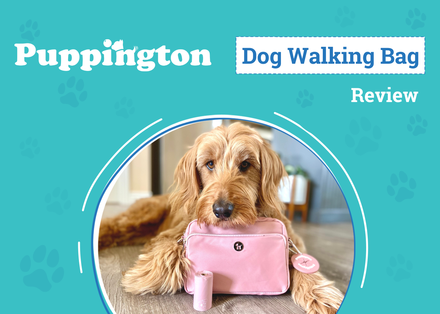 Puppington 3-in-1 Crossbody Dog Treat Pouch Review 2026: Walk Your Furry Friend in Style