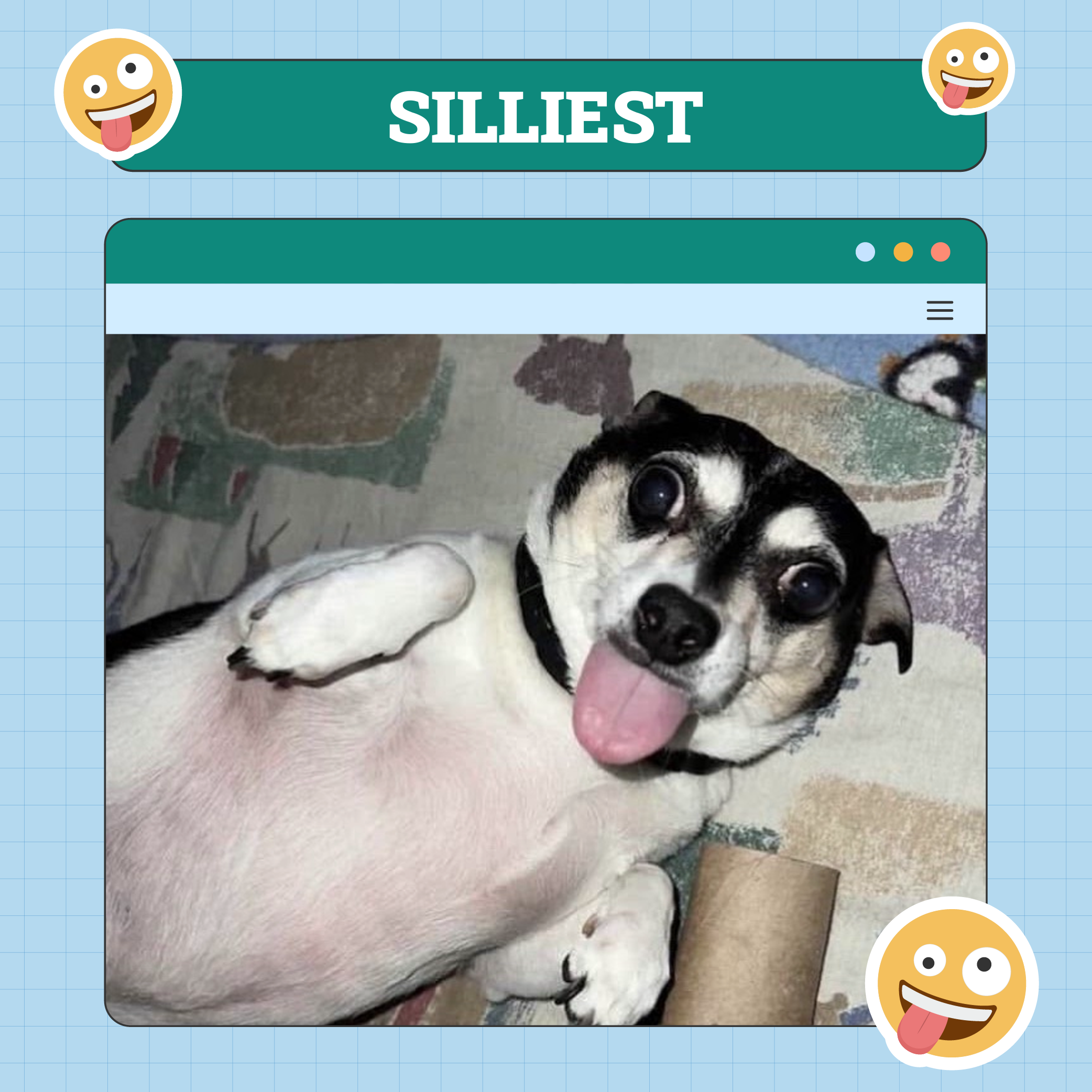 Silliest Dog