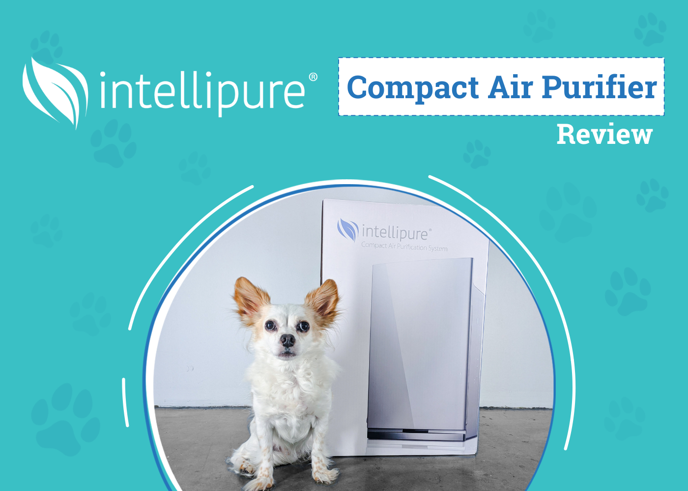 Intellipure Compact Air Purifier Review 2026: Next-Gen Filtration in a Compact Shell