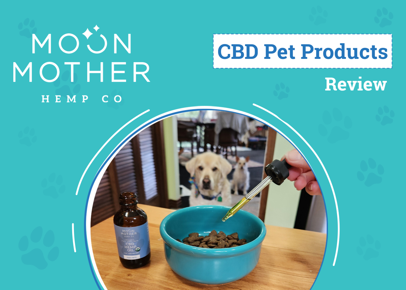 Moon Mother CBD Review 2026: Quality CBD Products for Pets and People