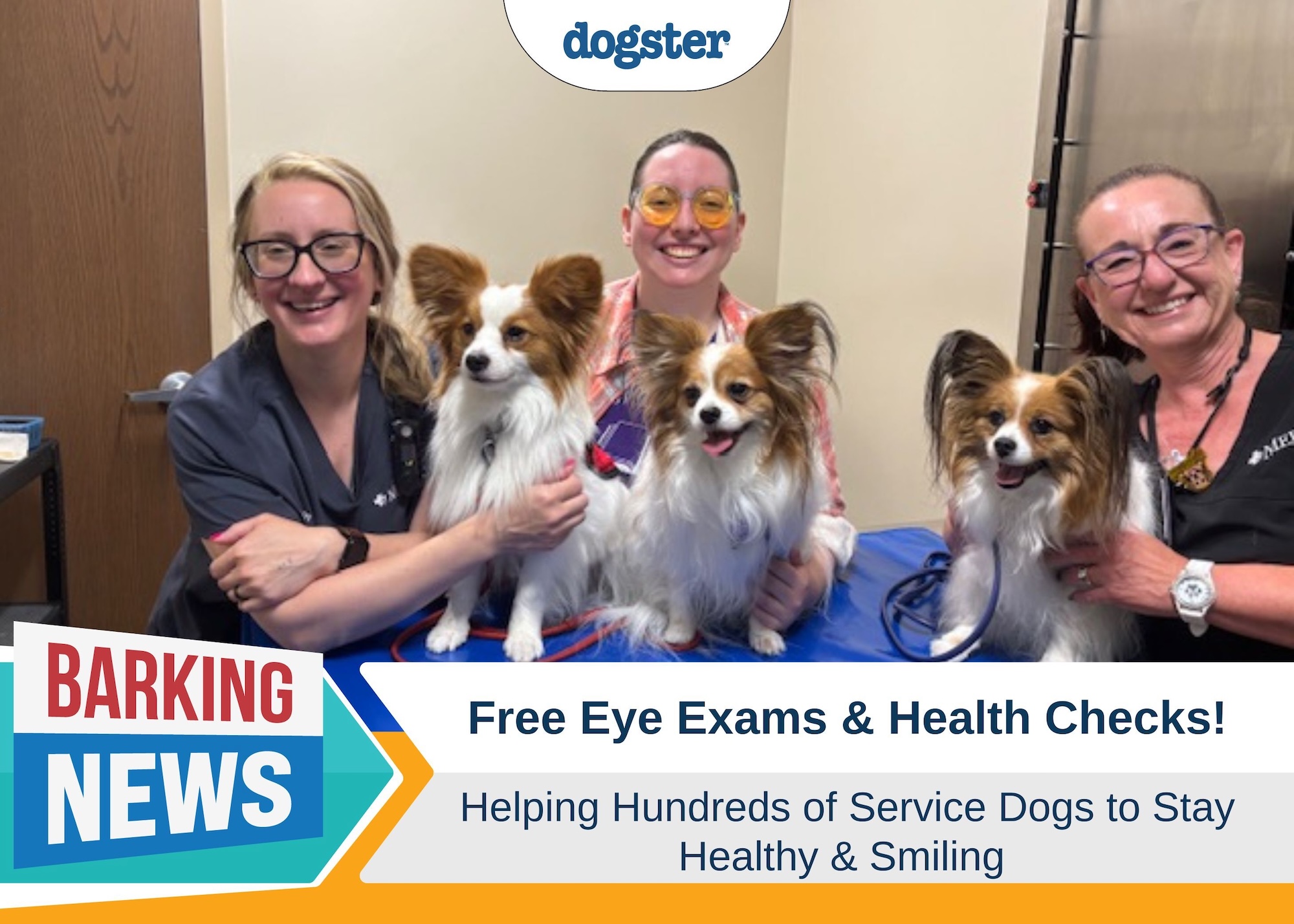 Free Eye Exams and Health Checks for Hundreds of Service Dogs
