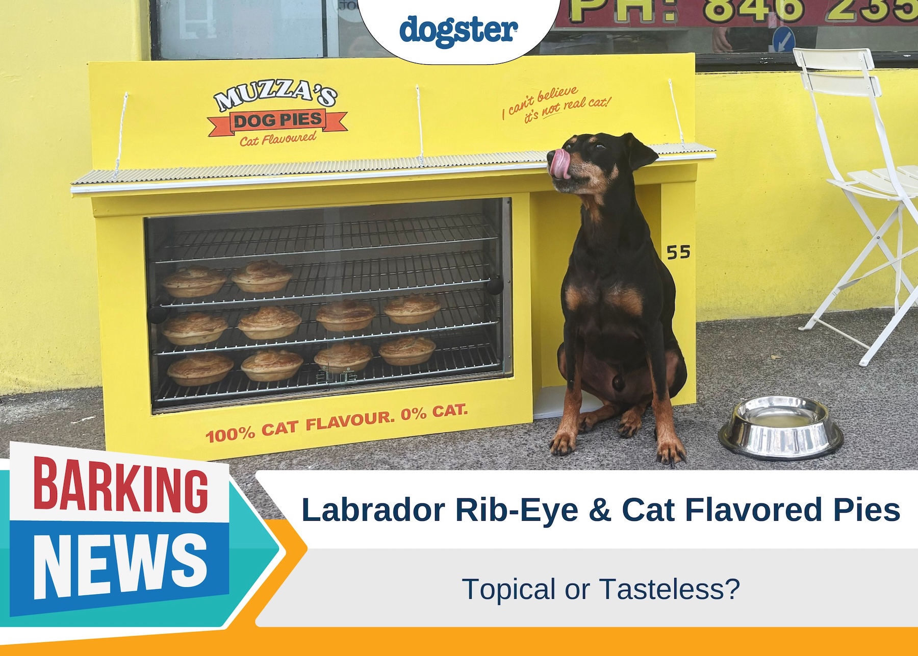 Labrador Rib-Eye and Cat Flavored Pies – Topical or Tasteless?