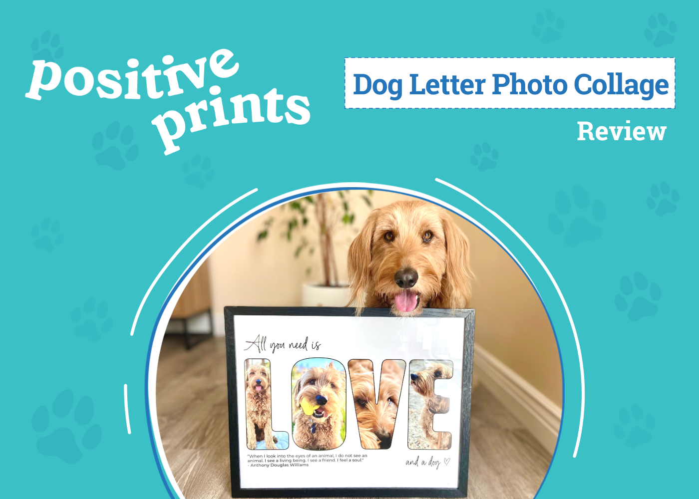 Positive Prints Letter Photo Collage Review 2026: Transform Your Four-Legged Friend into Art