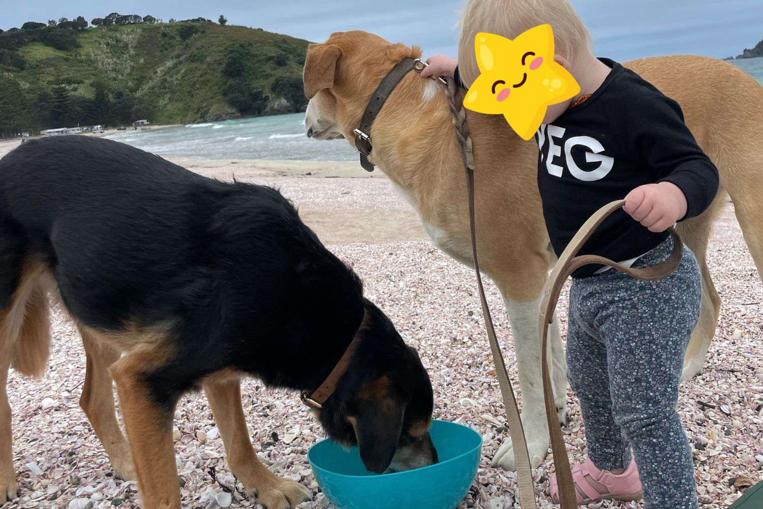 Dogs & Toddlers: Rosa's & Mac's Best Human Friend