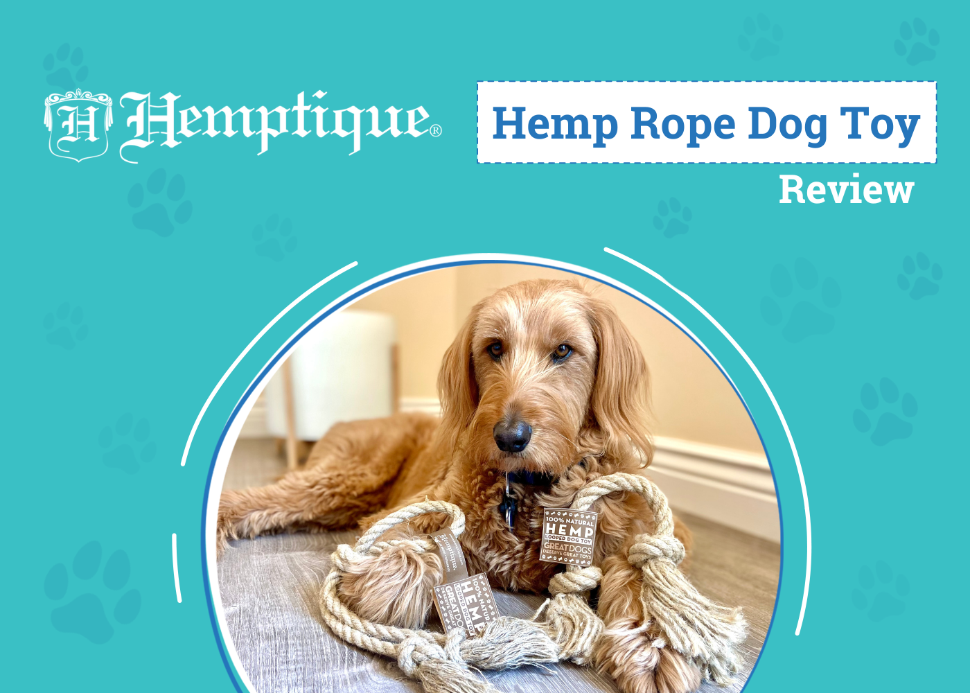 Hemptique Dog Toys Review 2026: A Sustainable Solution to Playtime with Your Pup
