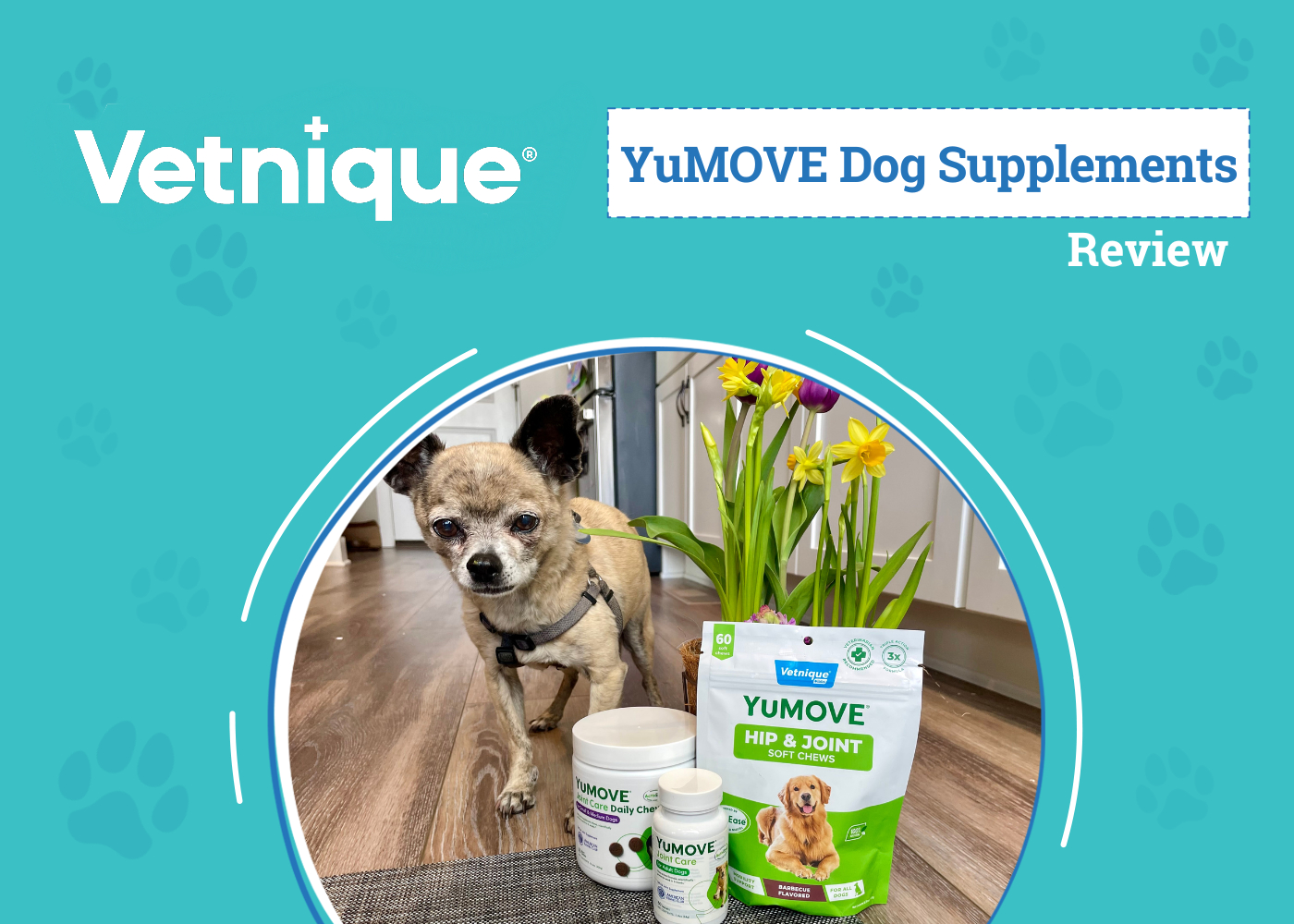 Vetnique YuMOVE Supplements Review 2026: Powerful Joint Care to Fit Your Dog’s Needs
