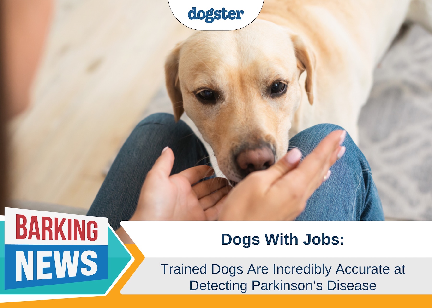 Trained Dogs Are Incredibly Accurate at Detecting Parkinson’s Disease