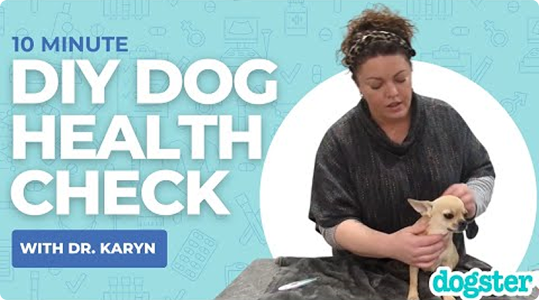 10 Minute DIY Dog Health Check with Dr. Karyn