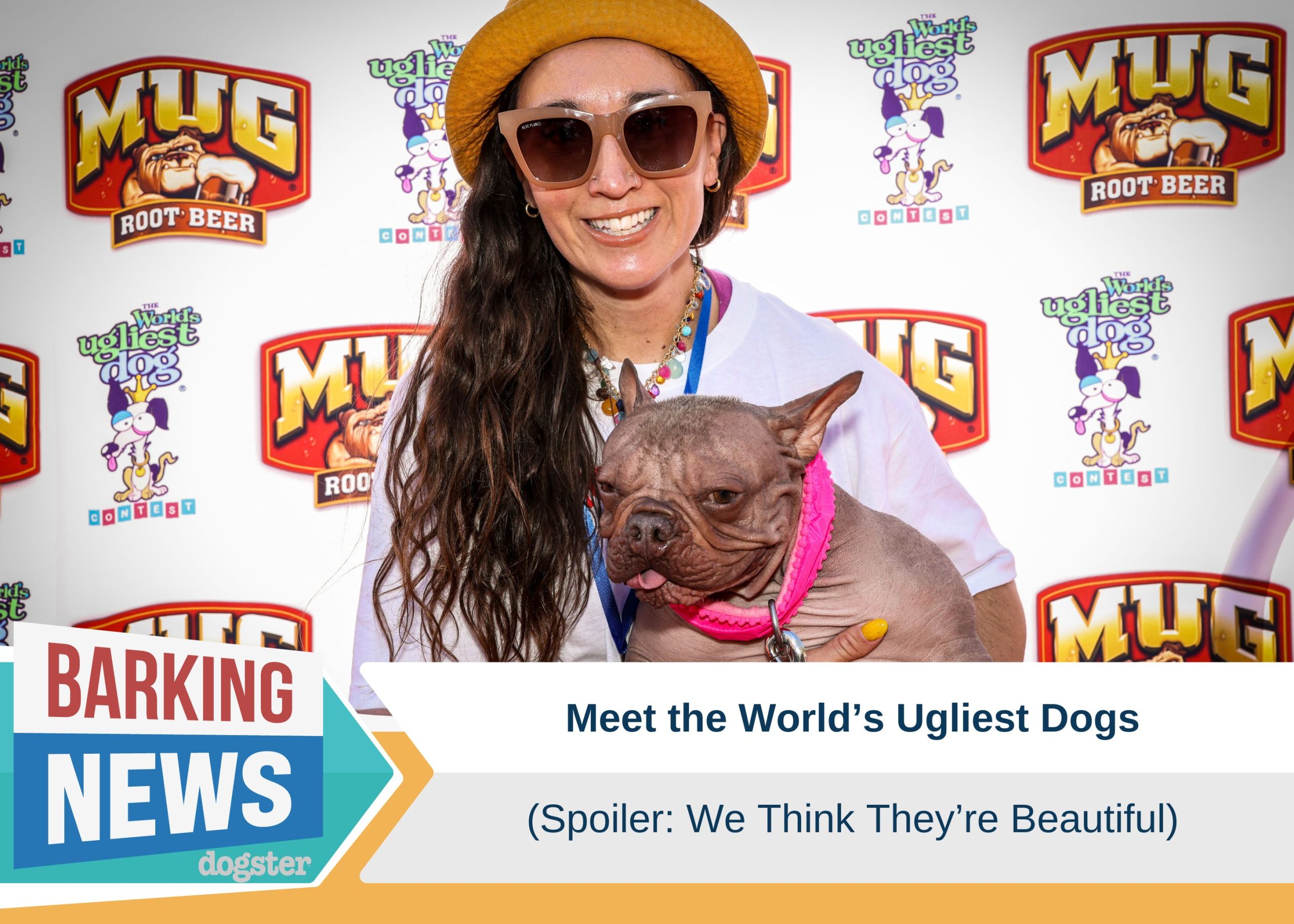 Meet The World’s Ugliest Dogs!