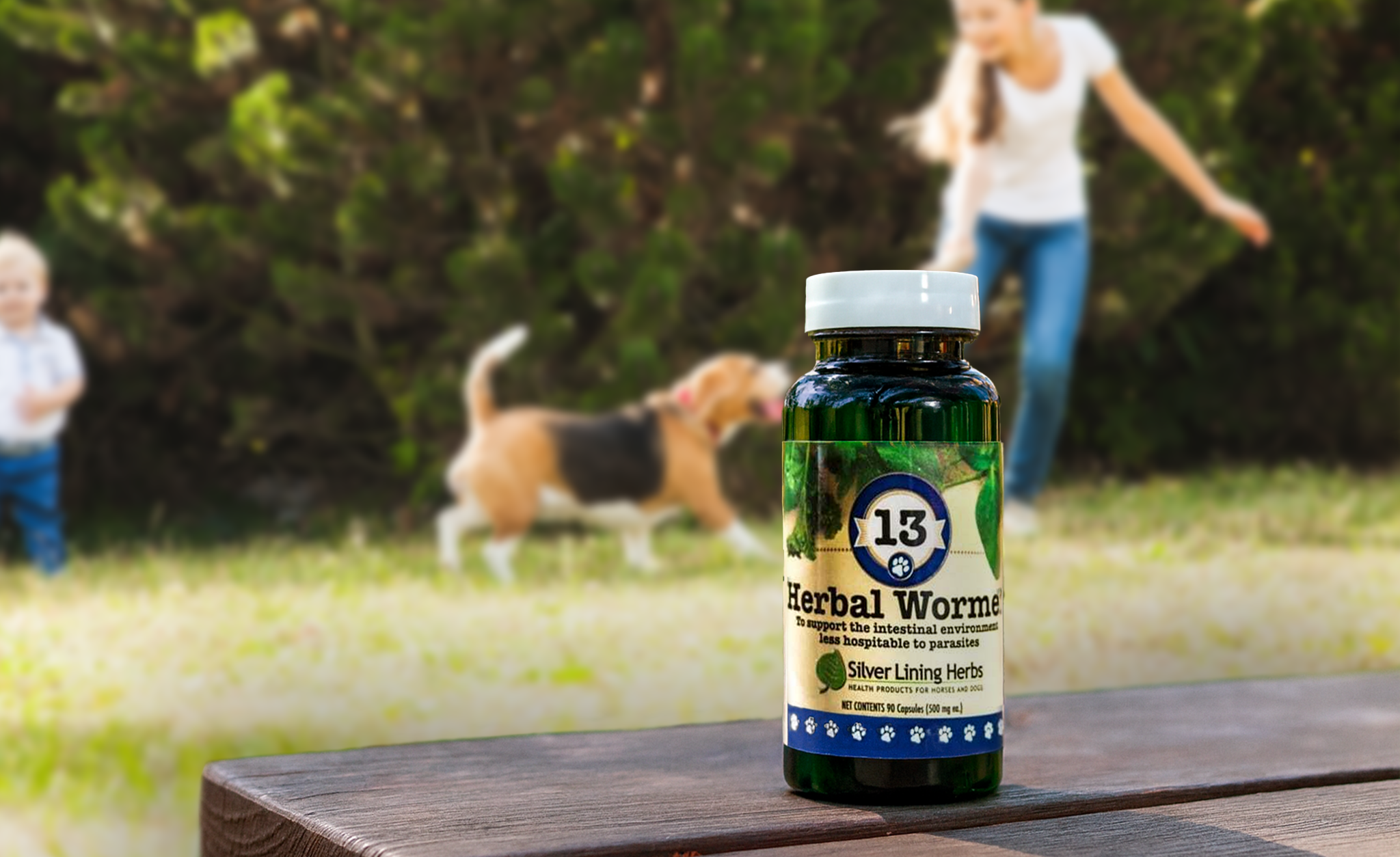 The Best Natural Wormer & Wellness Supplements for Dogs