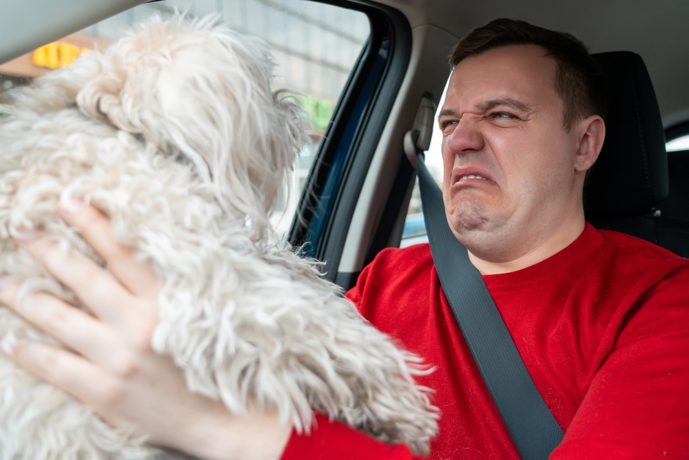 Cringing at Your Dog’s Breath? Try These 15 Vet-Approved Fixes