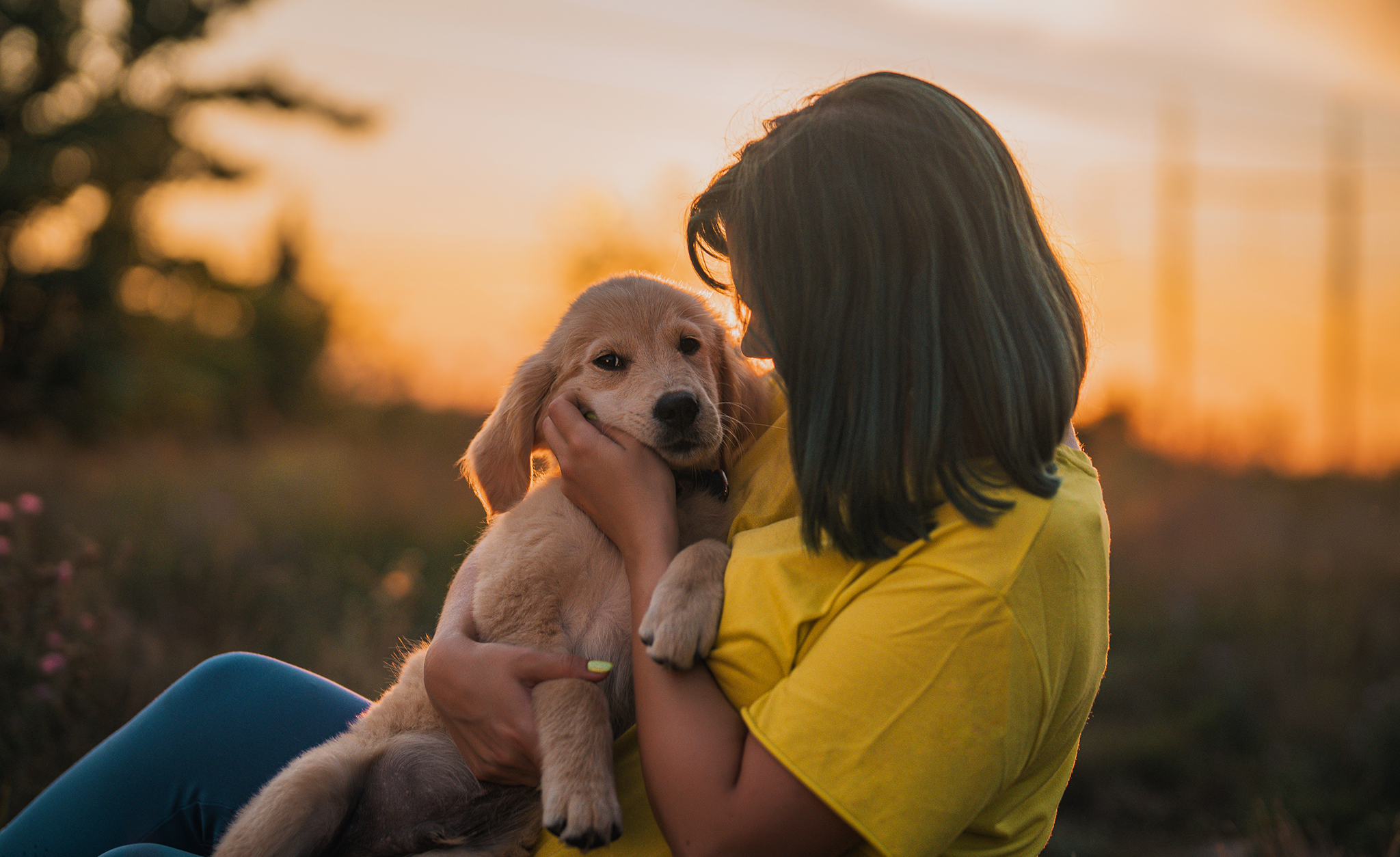 puppyspot-blog-01 (1)
