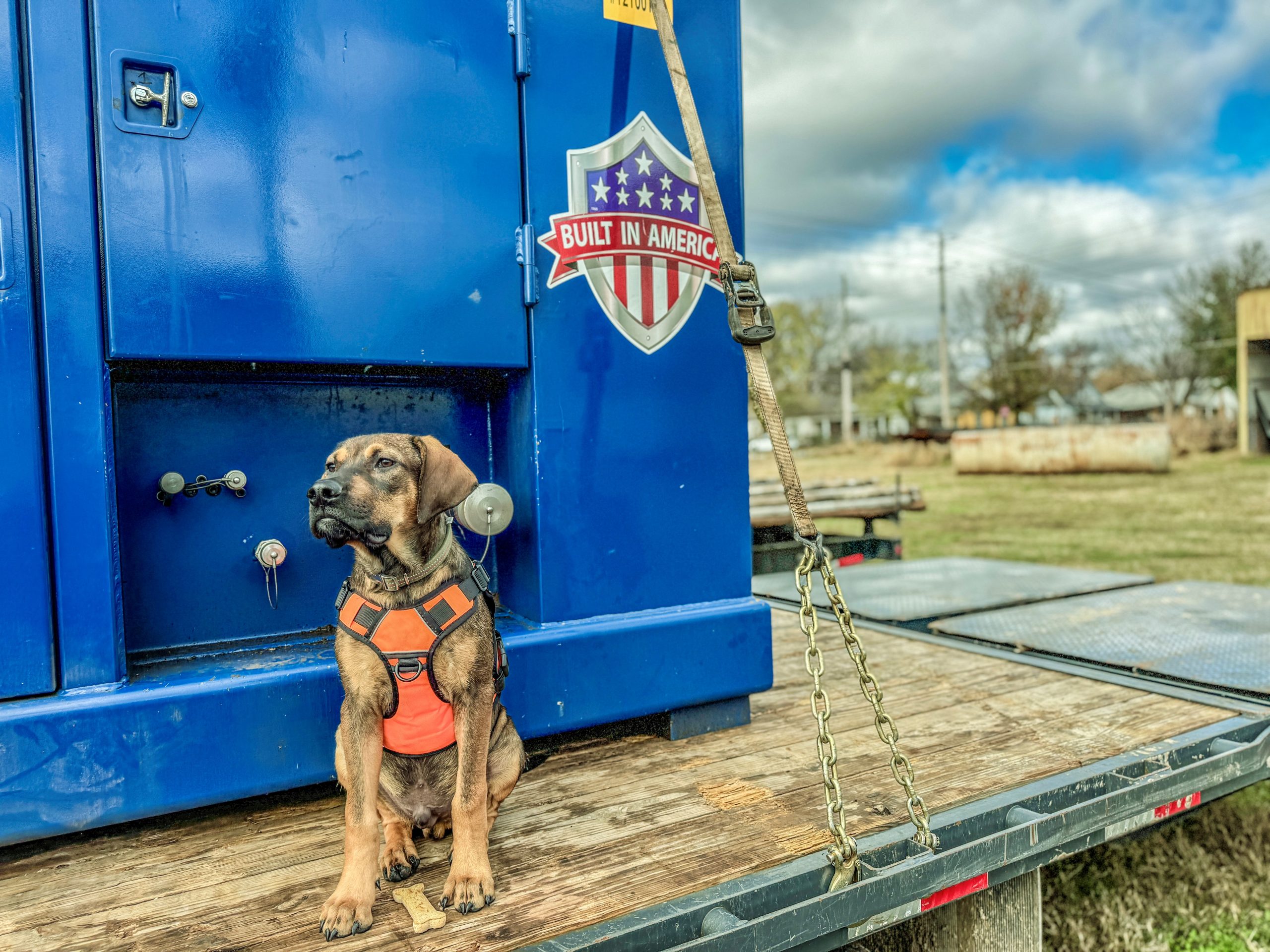 Well, Well, Well, What Have We Here? The Well Done Foundation’s Canine Teammate