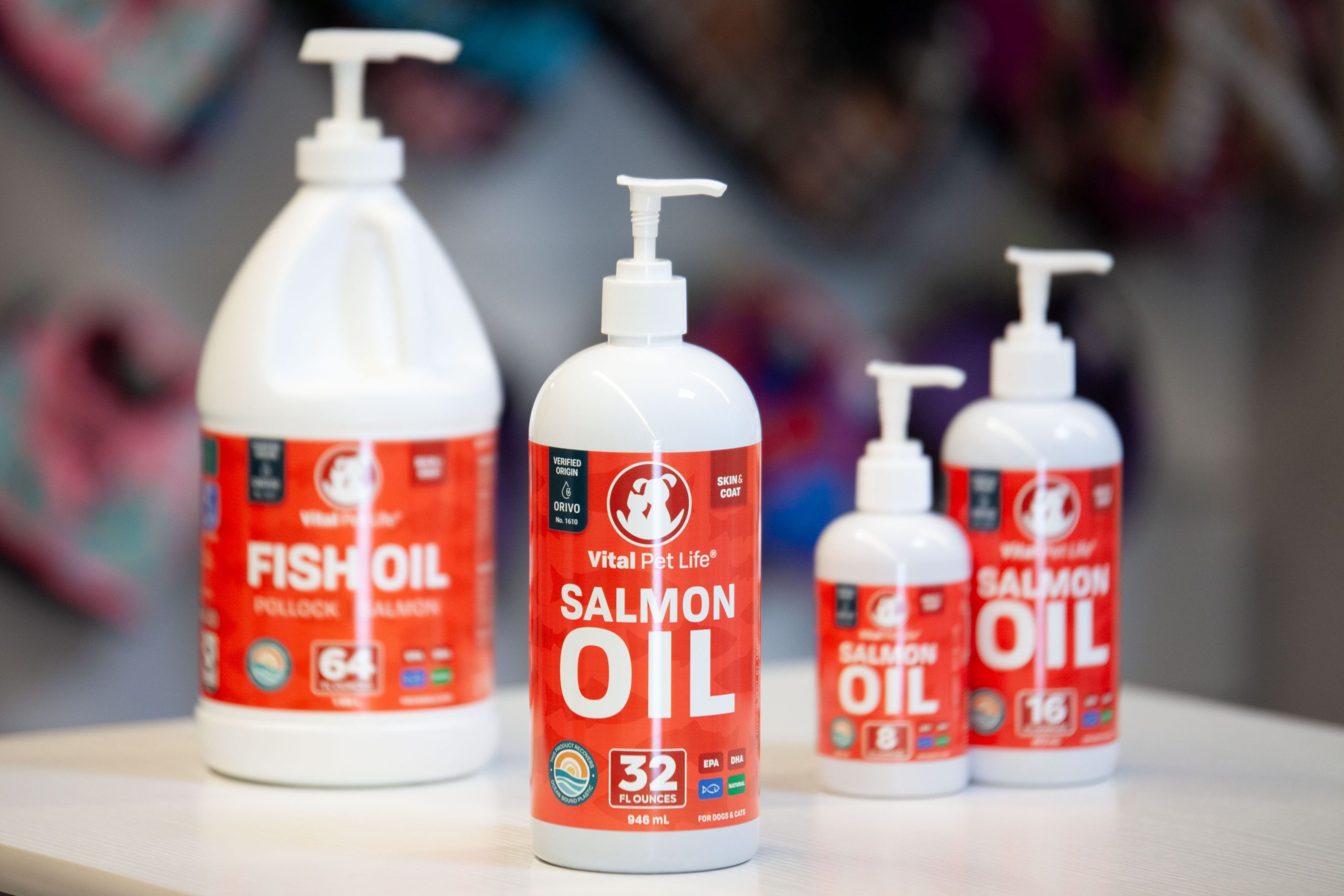 Salmon Oil for Dogs: How It Supports Skin, Coat, and Overall Health