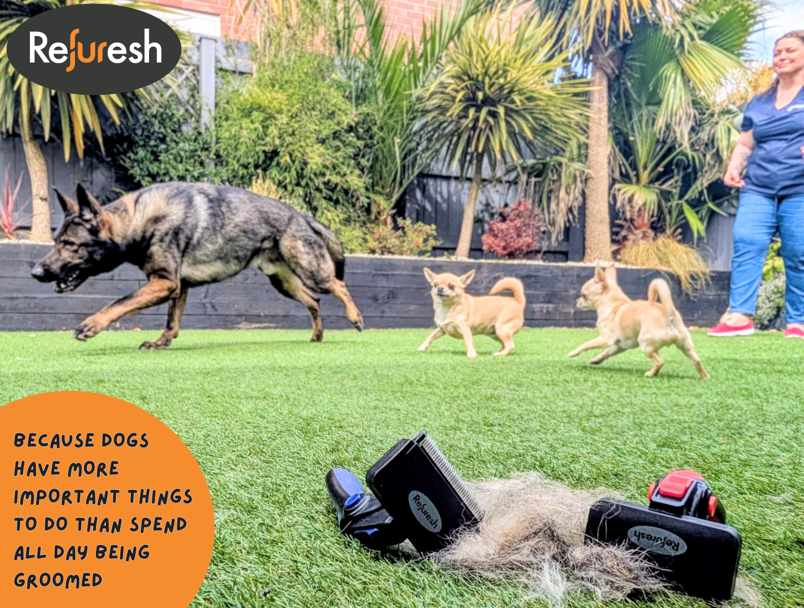 Refuresh Deshedding Tool – Professional Grooming at Home