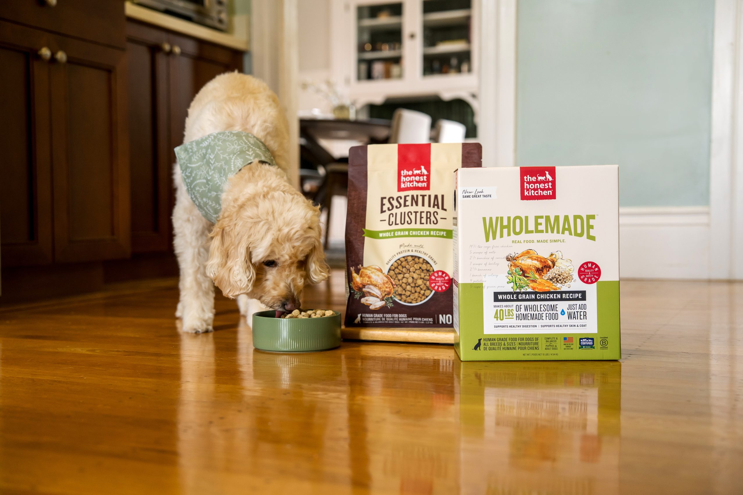 Better Than Kibble and Just as Easy to Feed