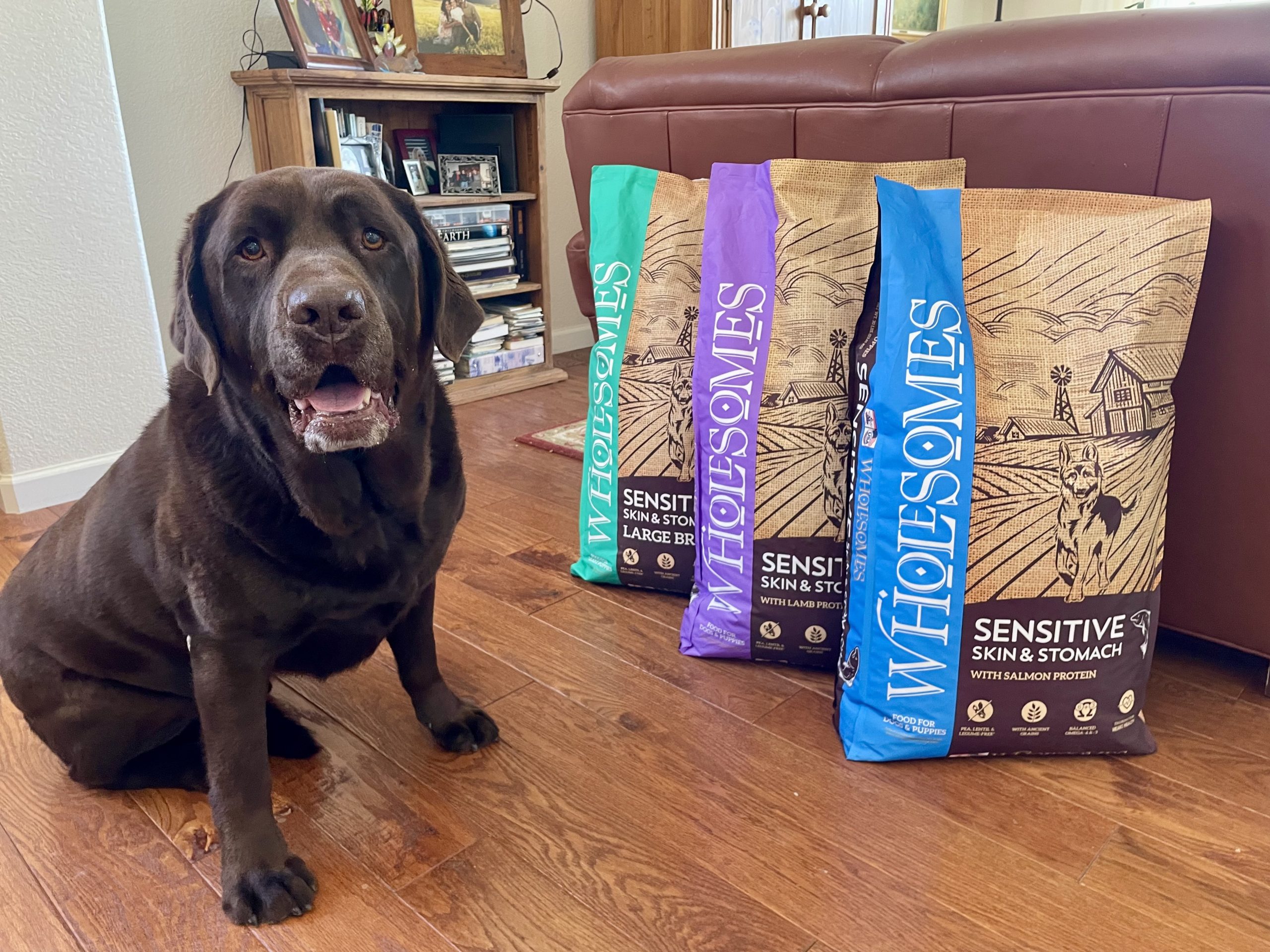 Wholesomes Dog Food Sensitive Skin & Stomach Review 2026: Our Expert’s Opinion