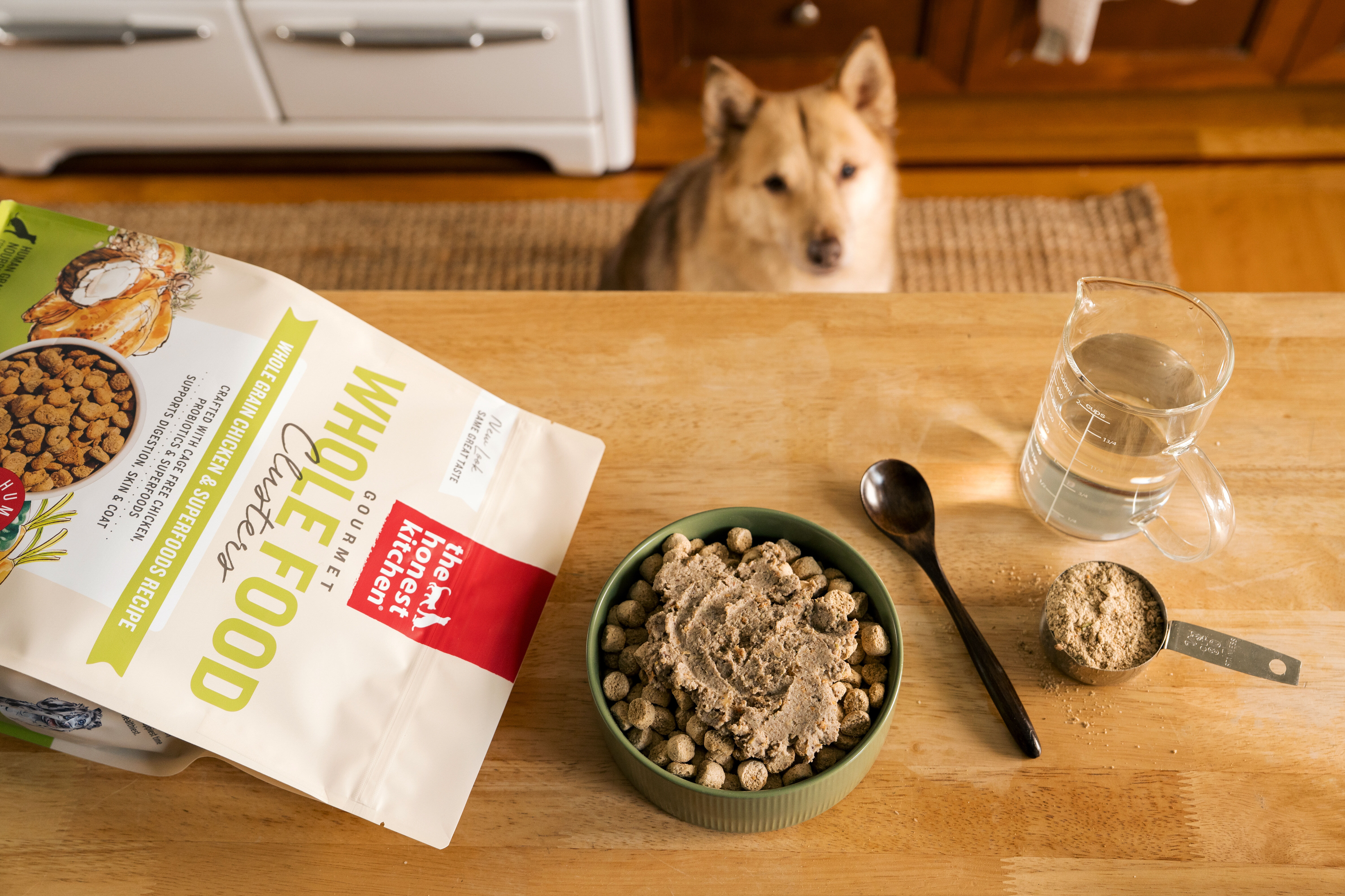 Dog watches a bowl of The Honest Kitchen dog food with water and scoop