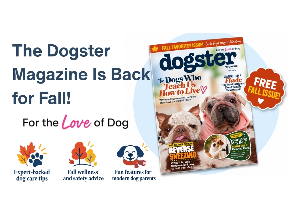 The Dogster Digital Magazine: Fall 2026 Issue