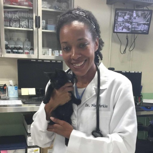 Dr. Nia Perkins