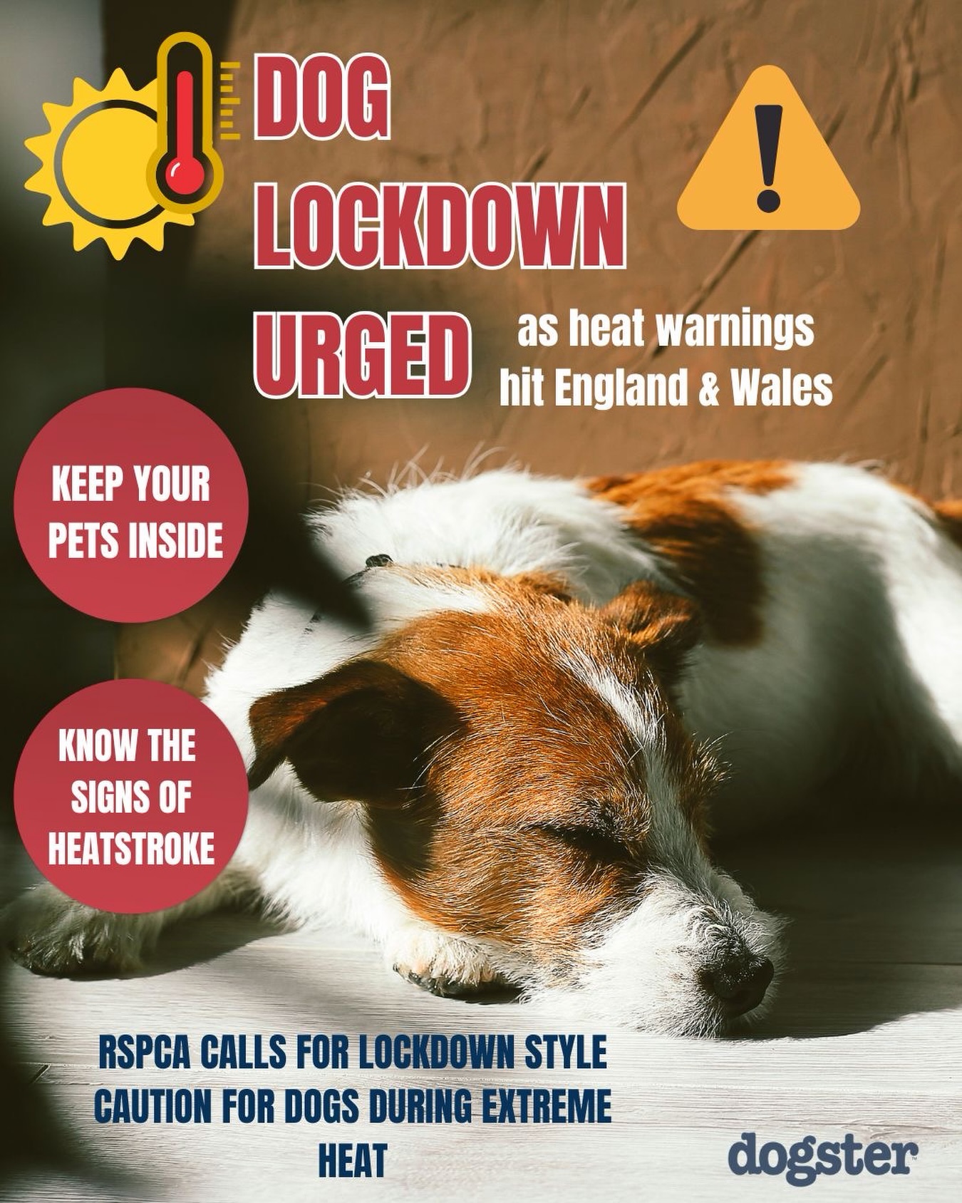 🌡️ When temperatures soar, it’s time to hit pause on your dog’s normal routine.

UK Animal welfare experts are urging a temporary “dog lockdown” during extreme heat conditions—and for good reason. Heatstroke can develop quickly and become life-threatening.

🐾 heres 5 simple ways to keep your dog safe:

❌ Skip the walk 
Missing a walk is far safer than risking overheating.

🧩 Exercise their brain instead
Puzzle toys, snuffle mats, and indoor training games can help burn energy without raising body temperature.

🏠 Create cool spaces
Close blinds, use fans safely, and give your dog access to cool floors, cooling mats, or damp towels.

💧 Offer plenty of fresh water
Place multiple water bowls around the house and refresh them regularly.

🌬️ Keep the air flowing
Open windows when safe, use fans, and avoid stuffy rooms that trap heat.

⚠️ Watch for signs of heatstroke, including excessive panting, drooling, weakness, vomiting, or bright red gums.

A missed walk lasts a day. Heatstroke can have lifelong consequences.

Stay cool, stay safe, and give your pup extra grace during the hottest days of summer. ❤️🐶