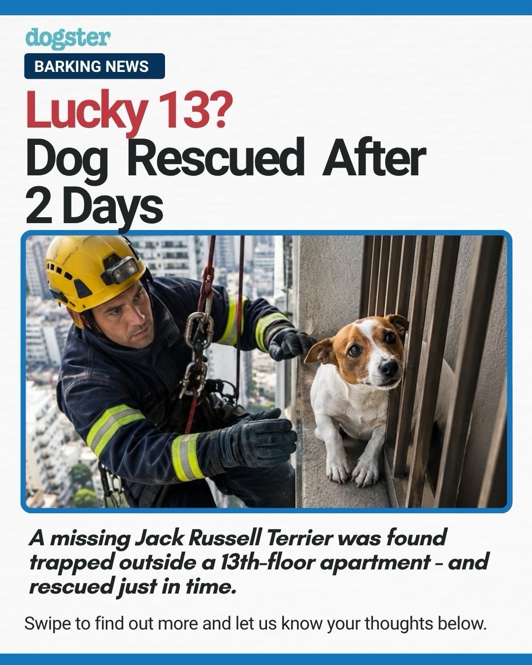 For nearly 48 hours, Elbie was trapped on the outside of a 13th-floor apartment building, with no food, no water, and little hope of being found. 💔
Thanks to a determined search, a neighbor’s drone, and the incredible bravery of first responders, this sweet pup was rescued and safely reunited with her family.
Stories like this remind us how quickly accidents can happen—and how compassion, teamwork, and never giving up can change everything.
Please take a moment today to check your balconies, gates, fences, and any small spaces a curious pet could squeeze through. A few minutes of prevention can save a life.
Here’s to happy endings, everyday heroes, and the unconditional love we share with our pets. 🐾
#DogRescue #HappyEnding #RescueStory #PetSafety #dogsofinstagram